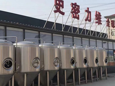 镇宁精酿啤酒设备厂—市场规模与跨界新需求